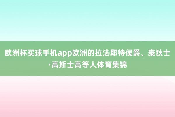 欧洲杯买球手机app欧洲的拉法耶特侯爵、泰狄士·高斯士高等人体育集锦