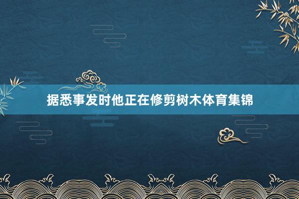 据悉事发时他正在修剪树木体育集锦