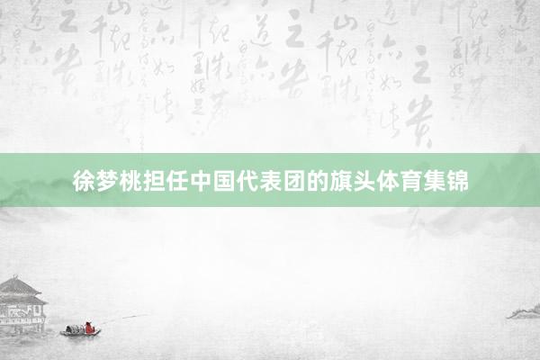 徐梦桃担任中国代表团的旗头体育集锦