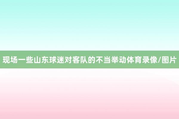 现场一些山东球迷对客队的不当举动体育录像/图片