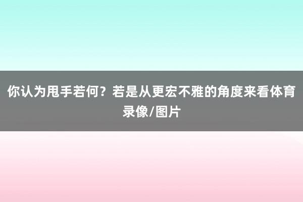 你认为甩手若何？若是从更宏不雅的角度来看体育录像/图片