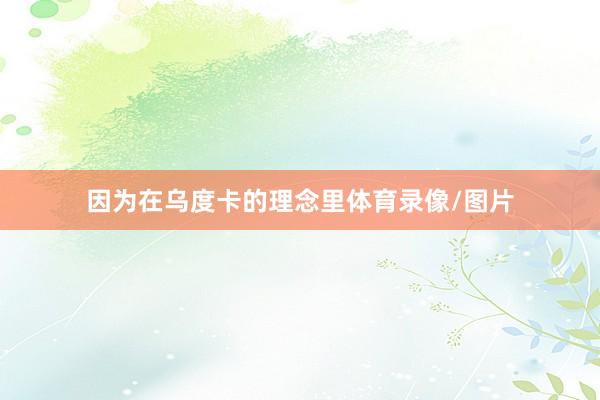 因为在乌度卡的理念里体育录像/图片