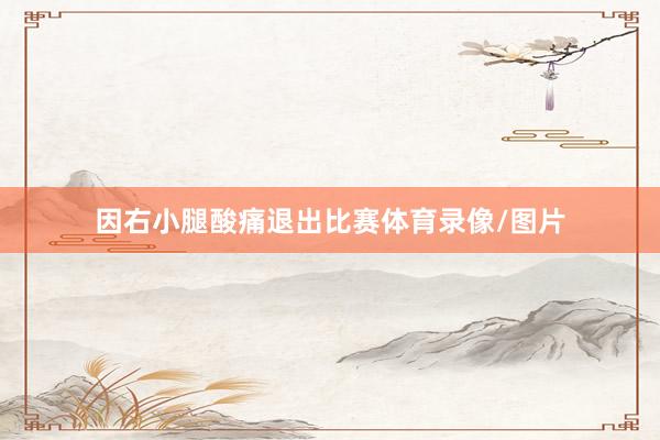 因右小腿酸痛退出比赛体育录像/图片