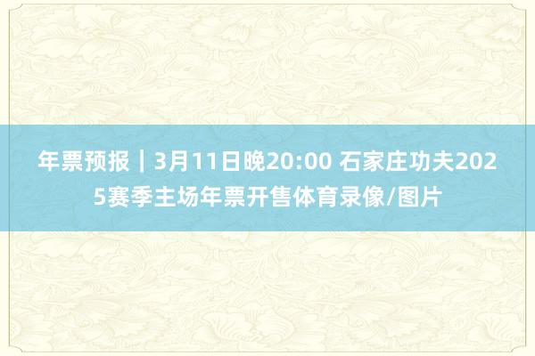 年票预报｜3月11日晚20:00 石家庄功夫2025赛季主场年票开售体育录像/图片
